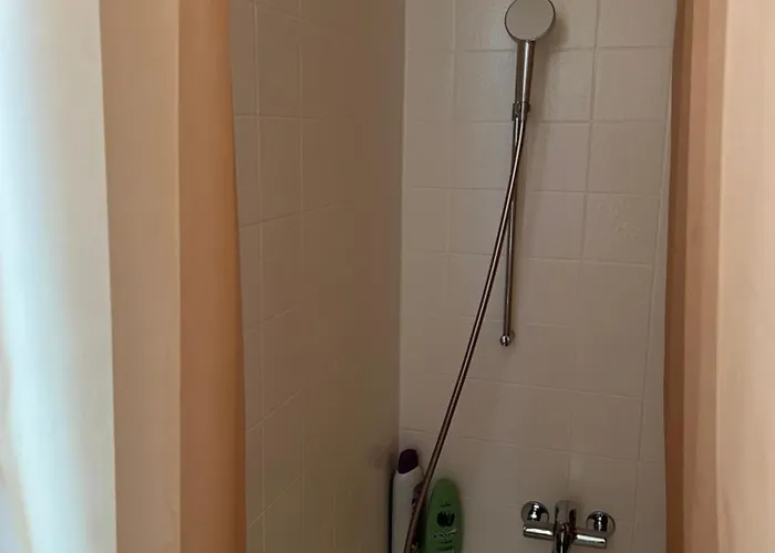 Carmen アパート インターラーケン